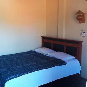Inn Surf Doggie 